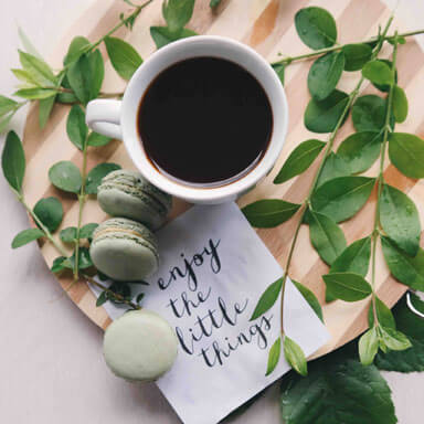 Home Insta 04 Free Img